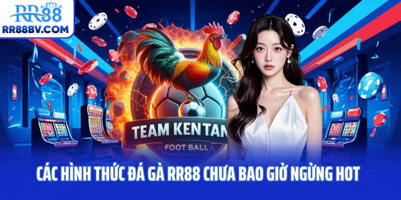 Các hình thức đá gà RR88 chưa bao giờ ngừng hot