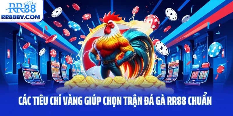 Các tiêu chí vàng giúp chọn trận đá gà RR88 chuẩn