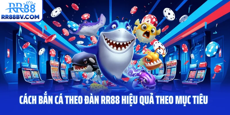 Cách bắn cá theo đàn RR88 hiệu quả theo mục tiêu