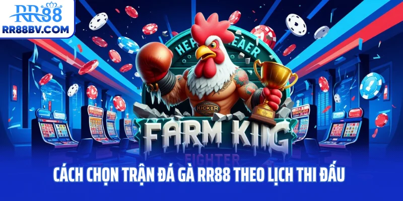 Cách chọn trận đá gà RR88 theo lịch thi đấu