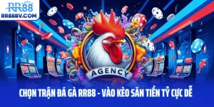 Chọn Trận Đá Gà RR88 - Vào Kèo Săn Tiền Tỷ Cực Dễ