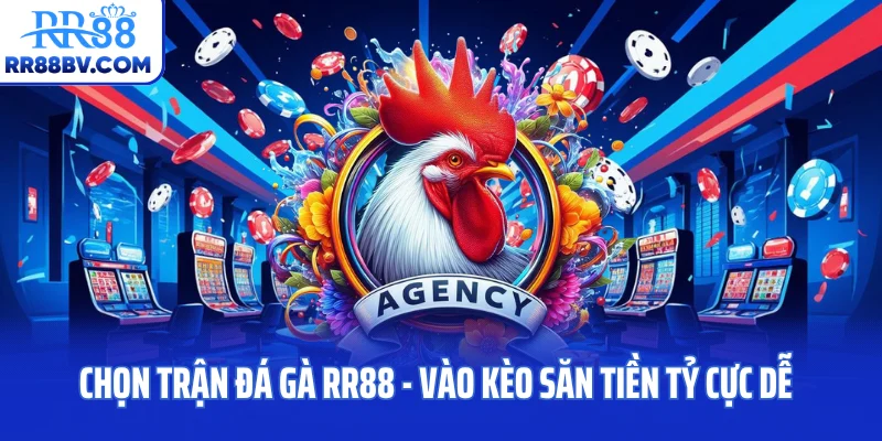 Chọn Trận Đá Gà RR88 - Vào Kèo Săn Tiền Tỷ Cực Dễ