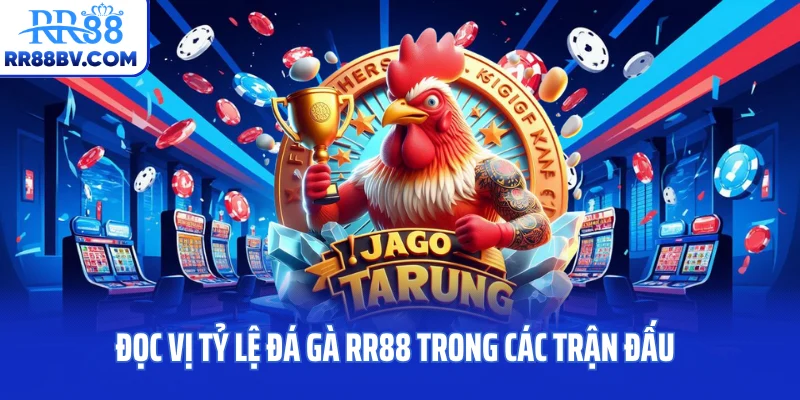 Đọc vị tỷ lệ đá gà RR88 trong các trận đấu