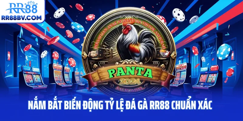 Nắm bắt biến động tỷ lệ đá gà RR88 chuẩn xác
