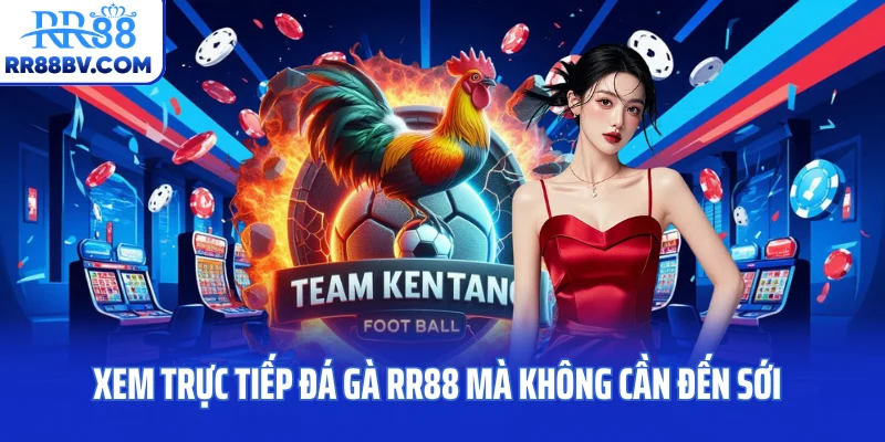 Xem trực tiếp đá gà RR88 mà không cần đến sới
