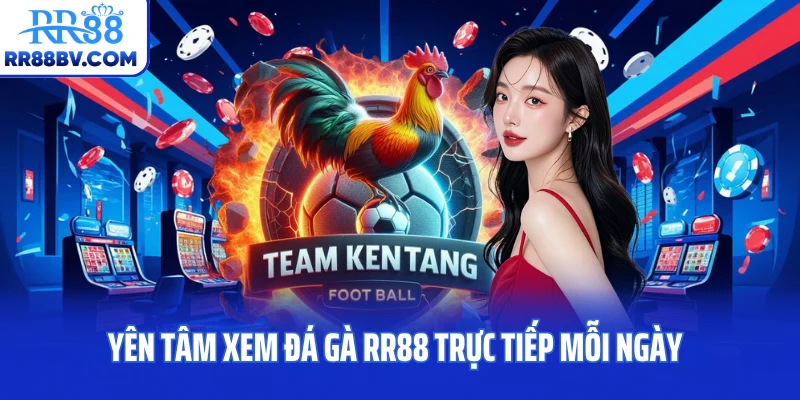 Yên tâm xem đá gà RR88 trực tiếp mỗi ngày